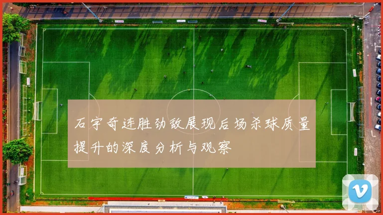 石宇奇连胜劲敌展现后场杀球质量提升的深度分析与观察