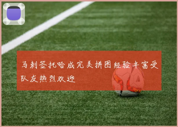 马刺签托哈成完美拼图经验丰富受队友热烈欢迎